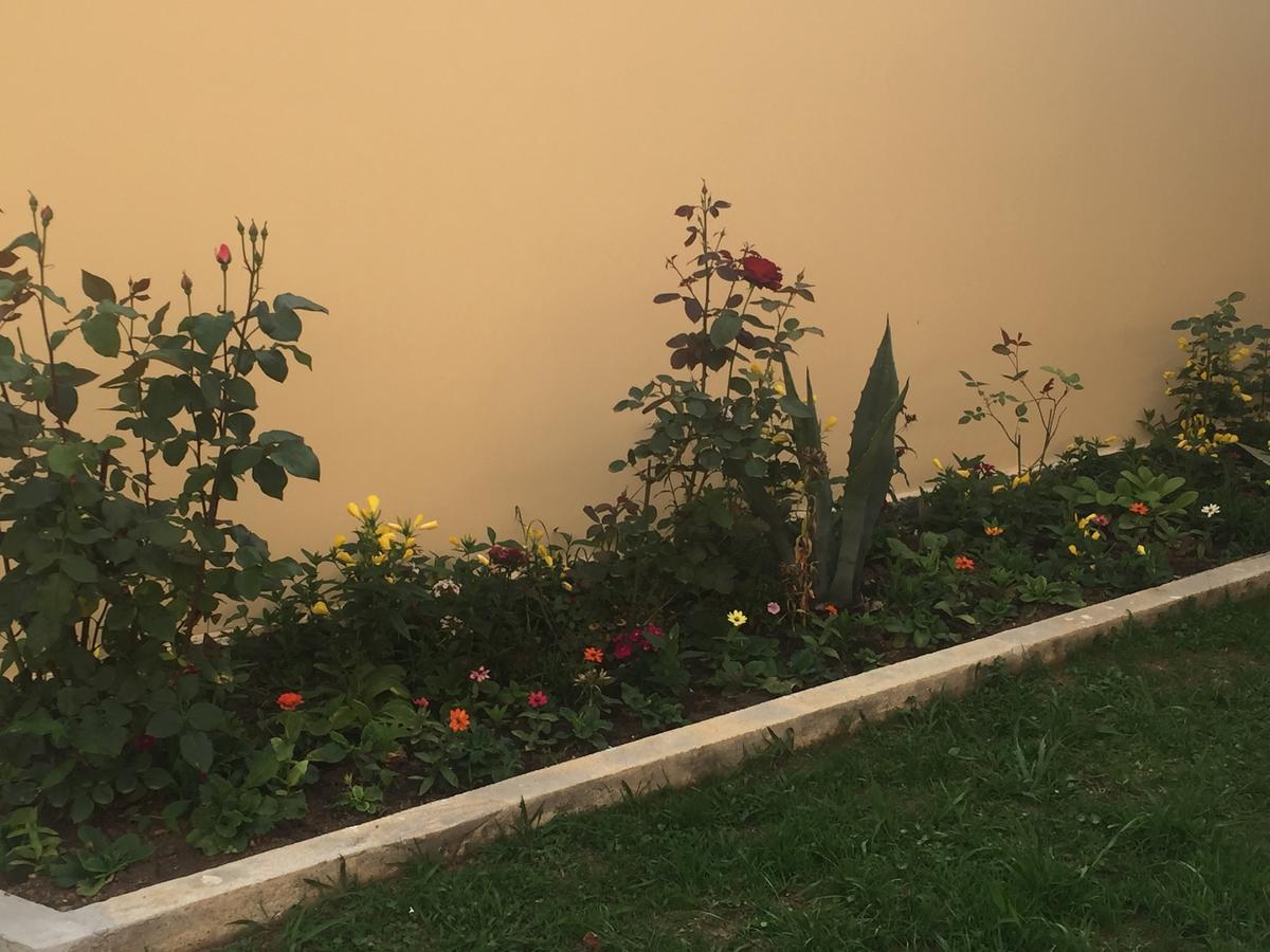 Hotel Botanica Chakvi Luaran gambar